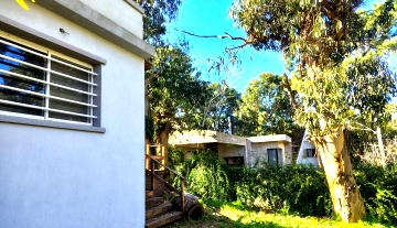 PhotoshopExtension_Image 22.jpeg